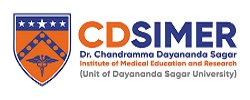 cdsimer_logo