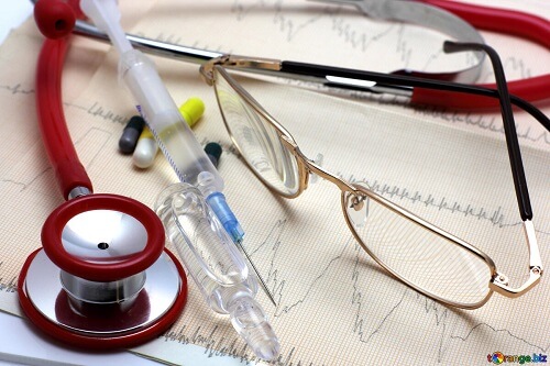 medical anatomy